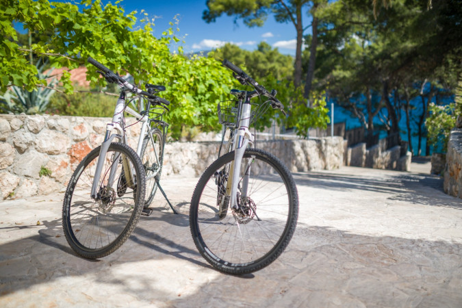 Villa Blue & Green Hvar - direct contact with owner Vrboska